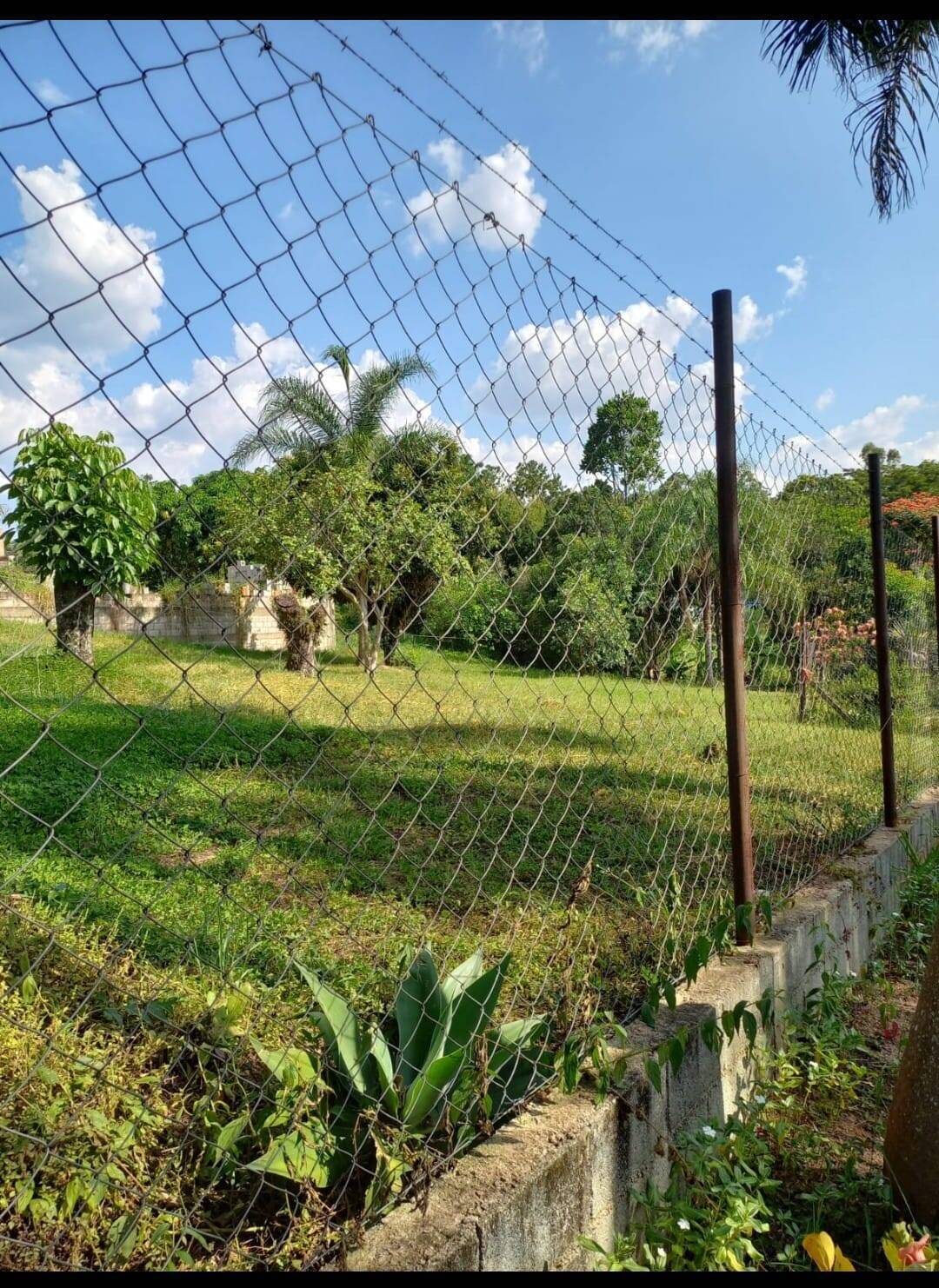 #36 - Chácara para Venda em Louveira - SP