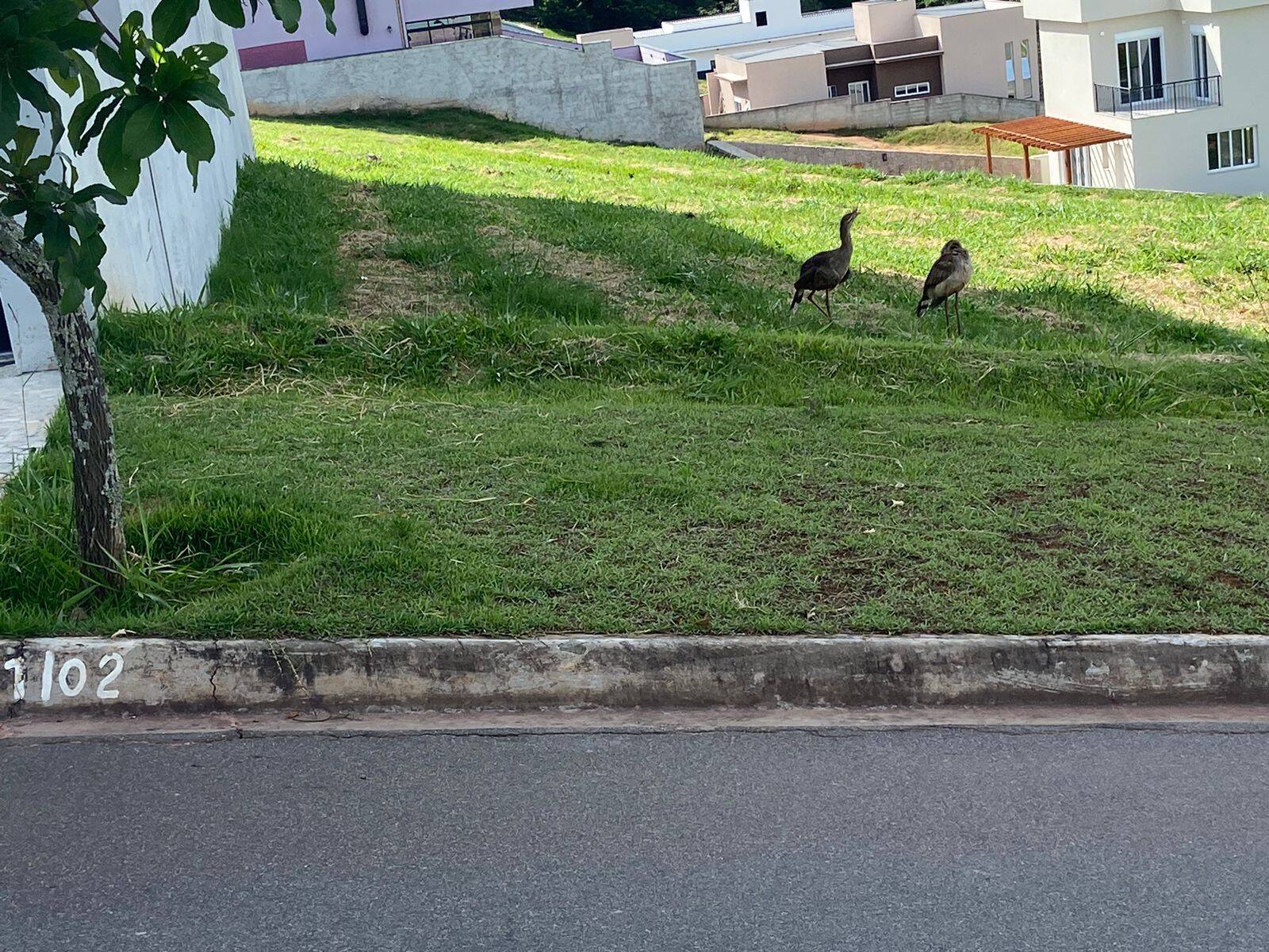 #38 - Terreno em condomínio para Venda em Itatiba - SP