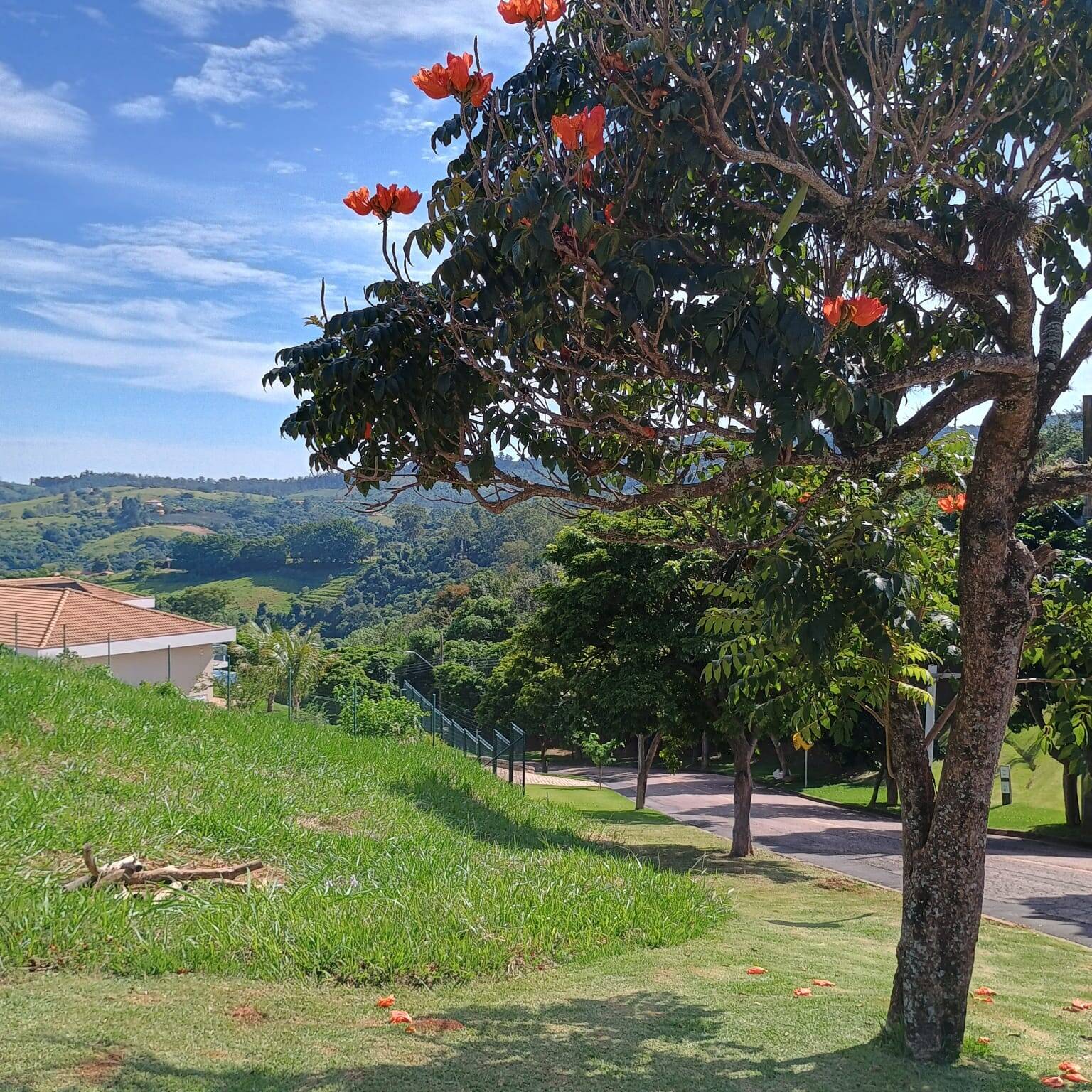 #70 - Área para Venda em Louveira - SP
