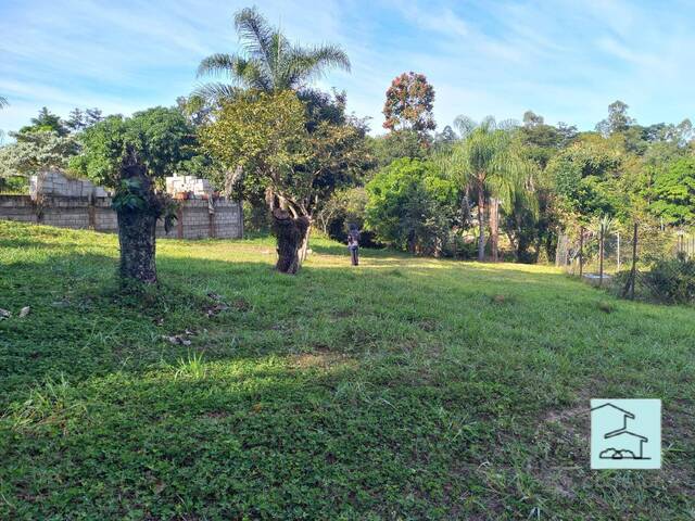 #36 - Chácara para Venda em Louveira - SP - 3