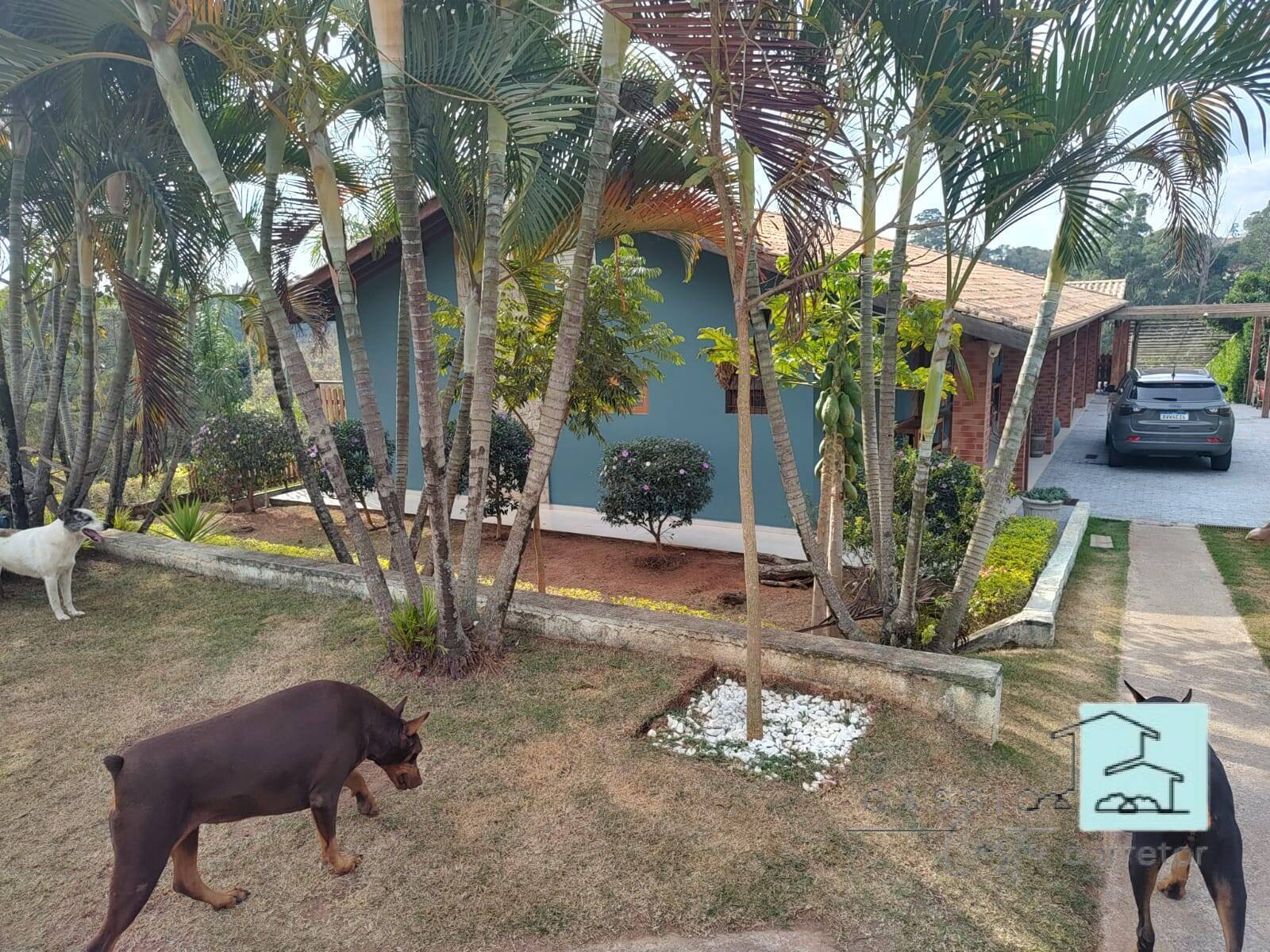 Chácara à venda com 3 quartos, 400m² - Foto 4