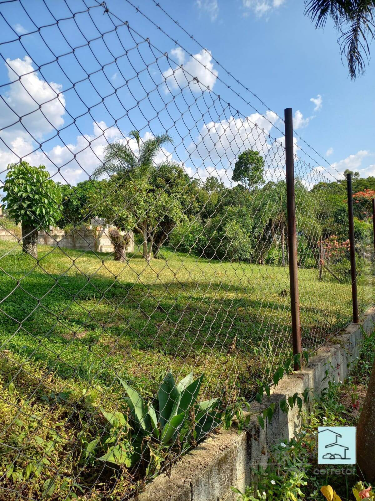 Terreno à venda, 1100m² - Foto 2