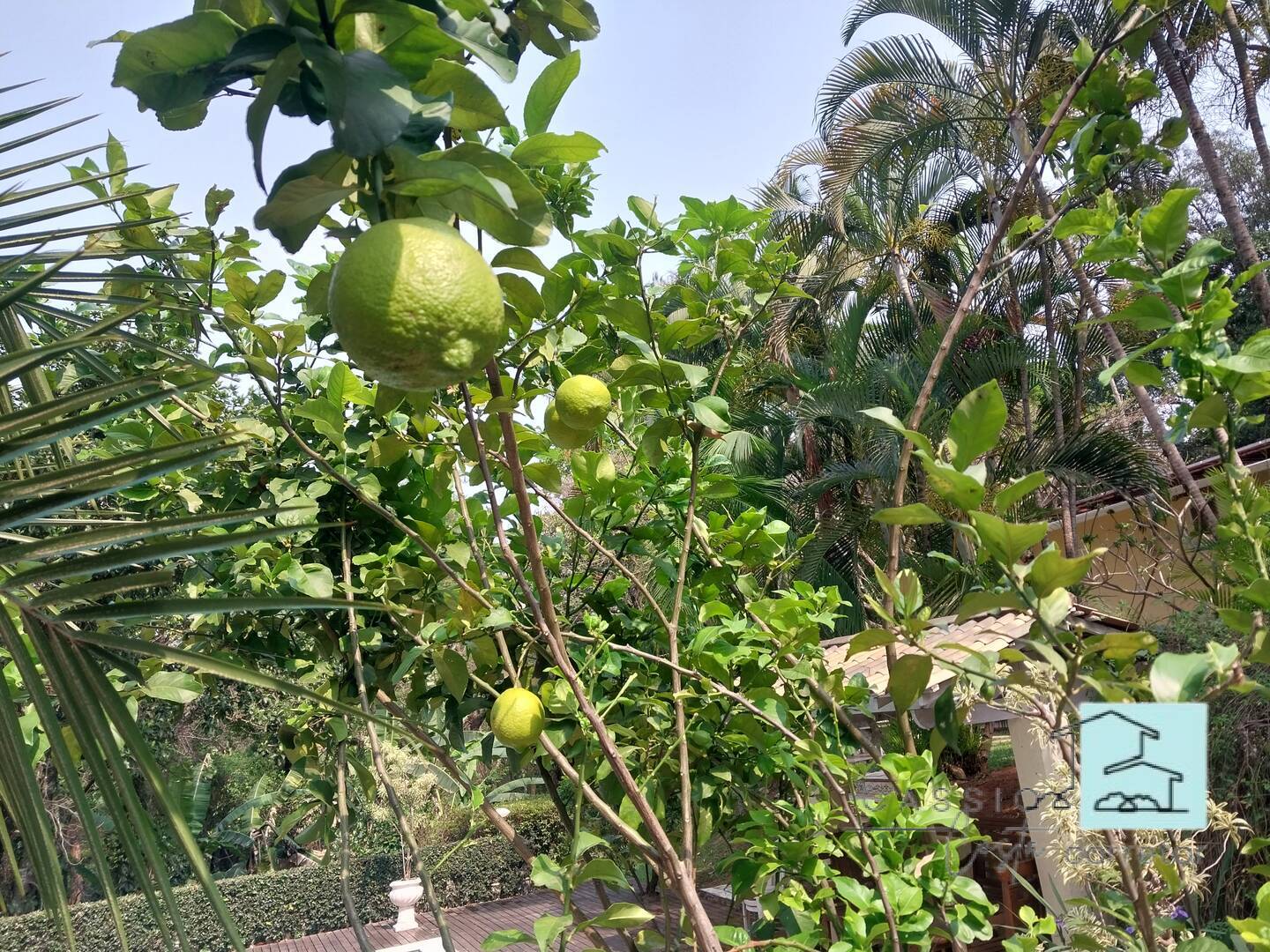 Casa, 3 quartos, 2700 m² - Foto 24