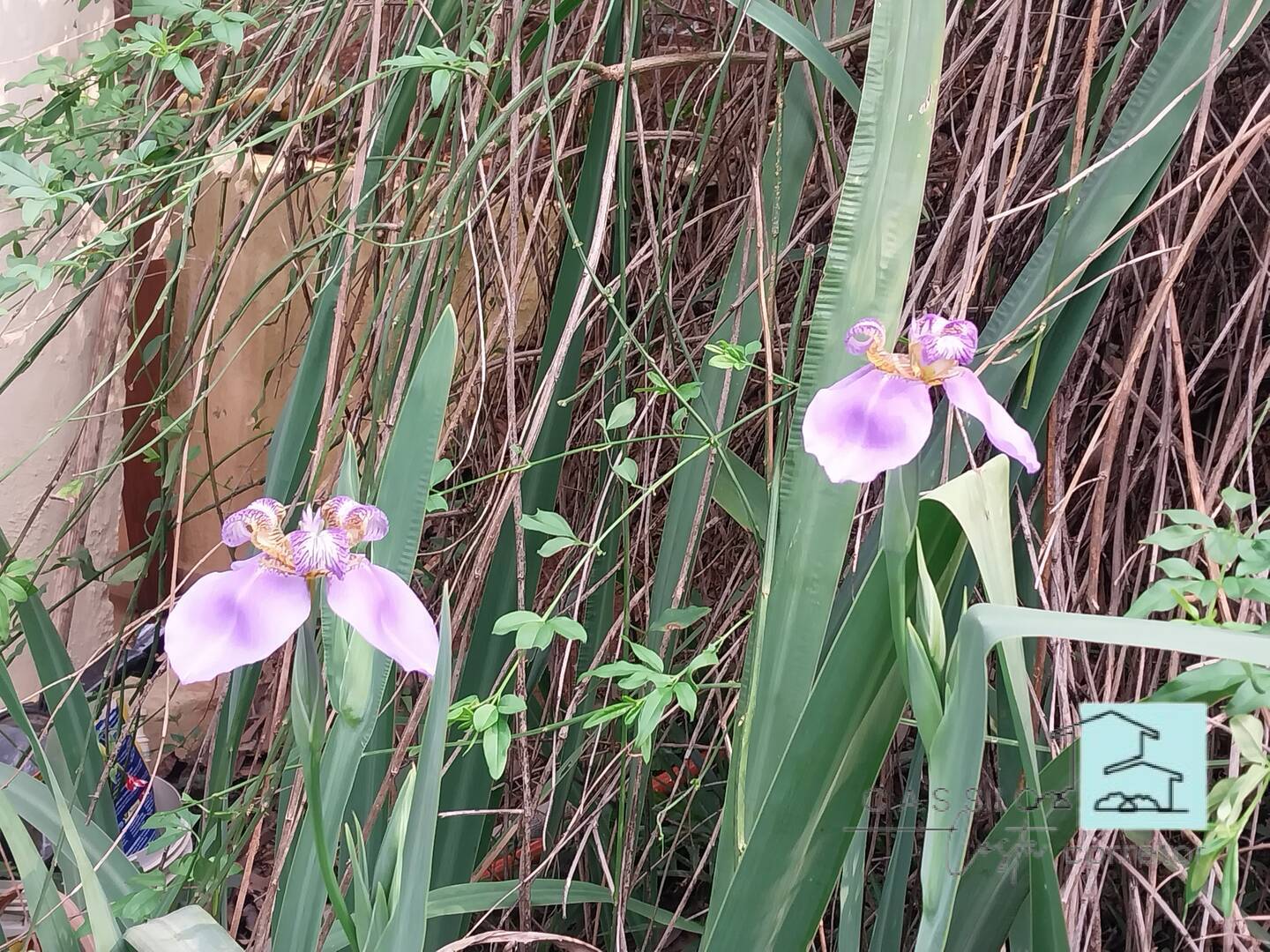 Casa, 3 quartos, 2700 m² - Foto 25